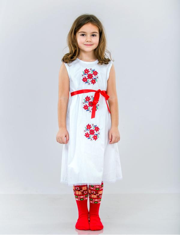 Kid's dress with embroidery